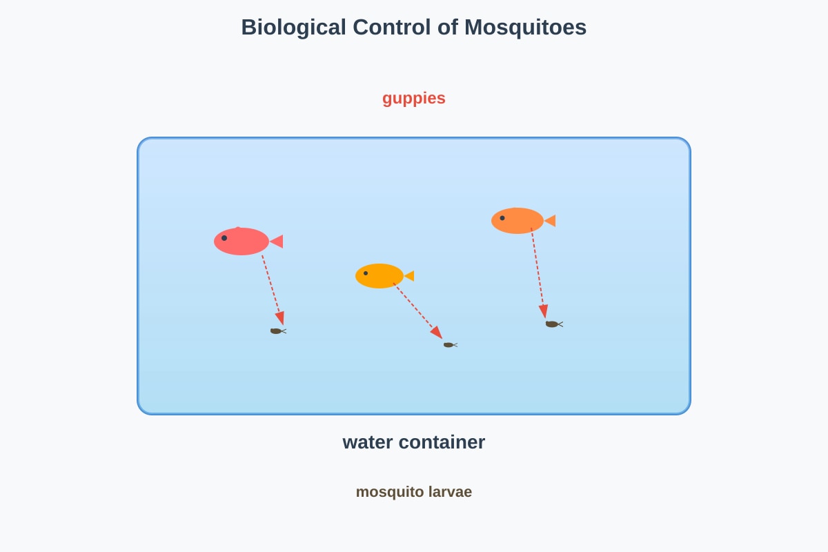 Diagram for Q36 (P6 Science)