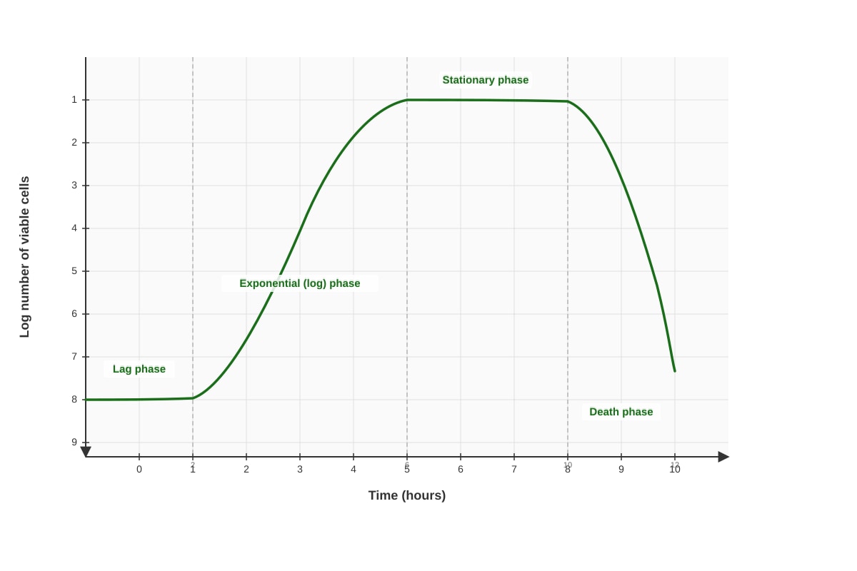 Graph for Q8 (ALEVEL Biology H1)