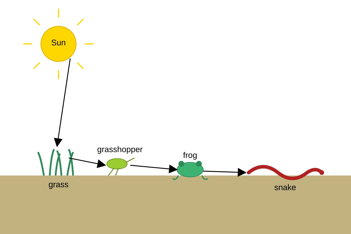 Diagram for Q17 (P6 Science)