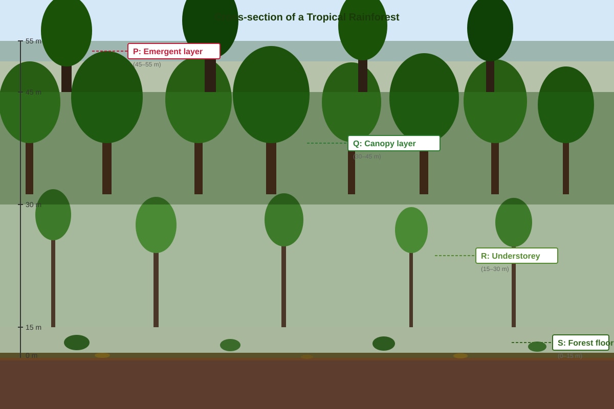 Diagram for Q7 (SEC1 Geography)