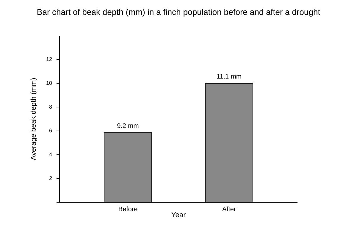 Graph for Q14 (ALEVEL Biology H1)