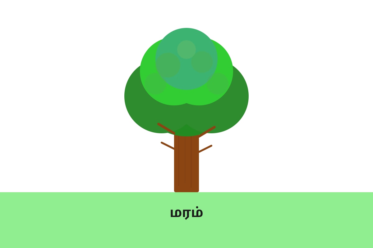 Diagram for Q5 (P1 Tamil)