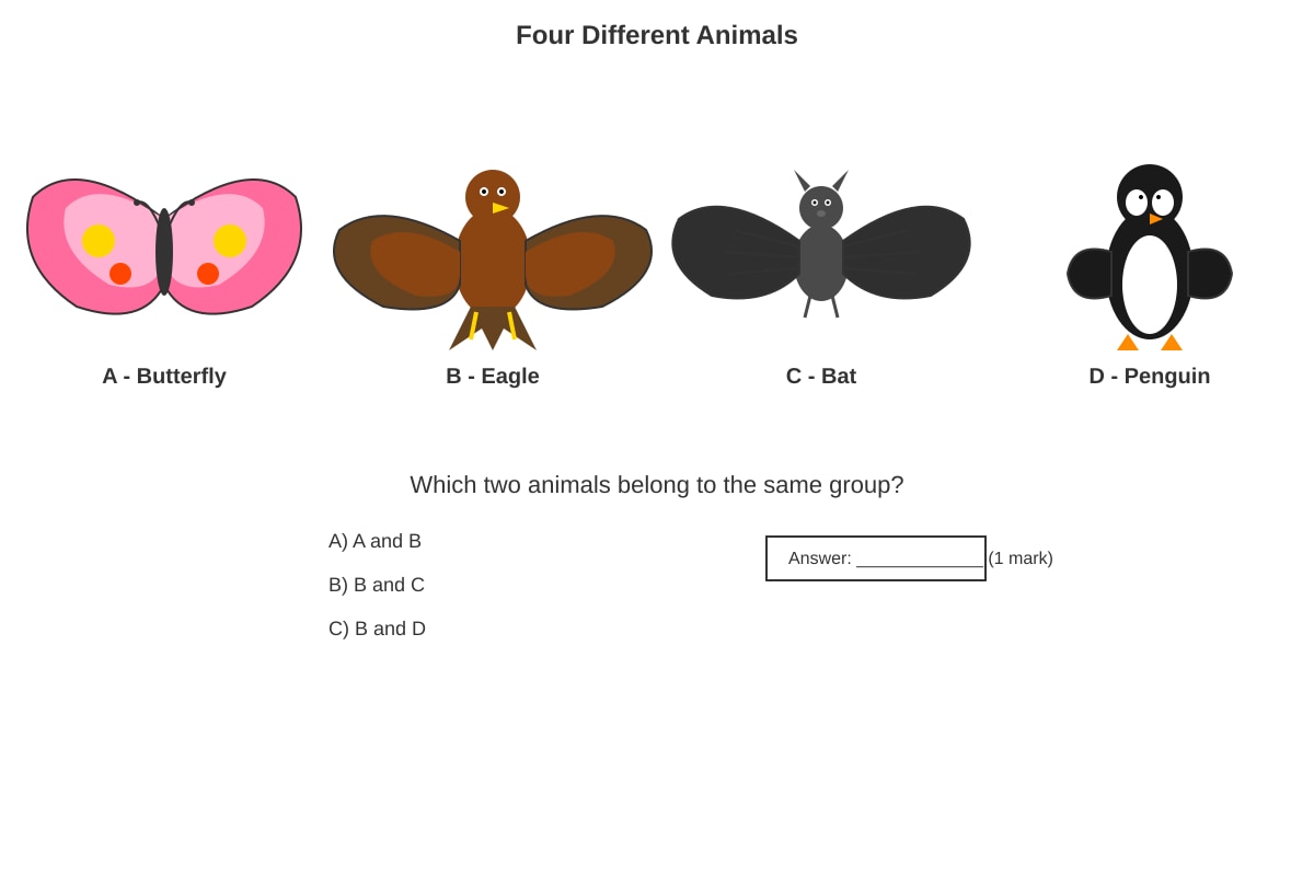 Diagram for Q8 (P3 Science)