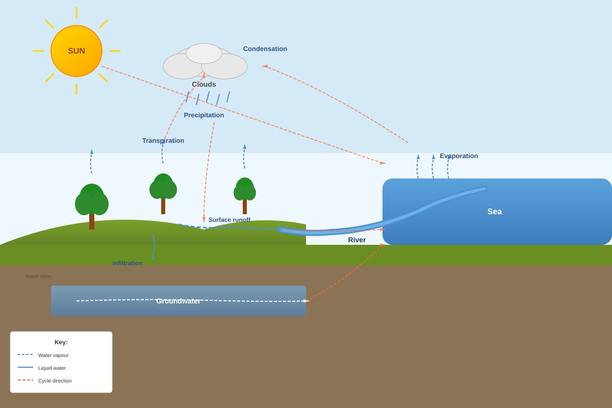 Diagram for Q37 (P5 Science)