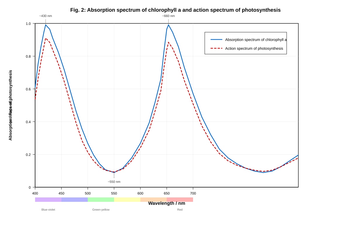 Graph for Q10 (ALEVEL Biology H1)