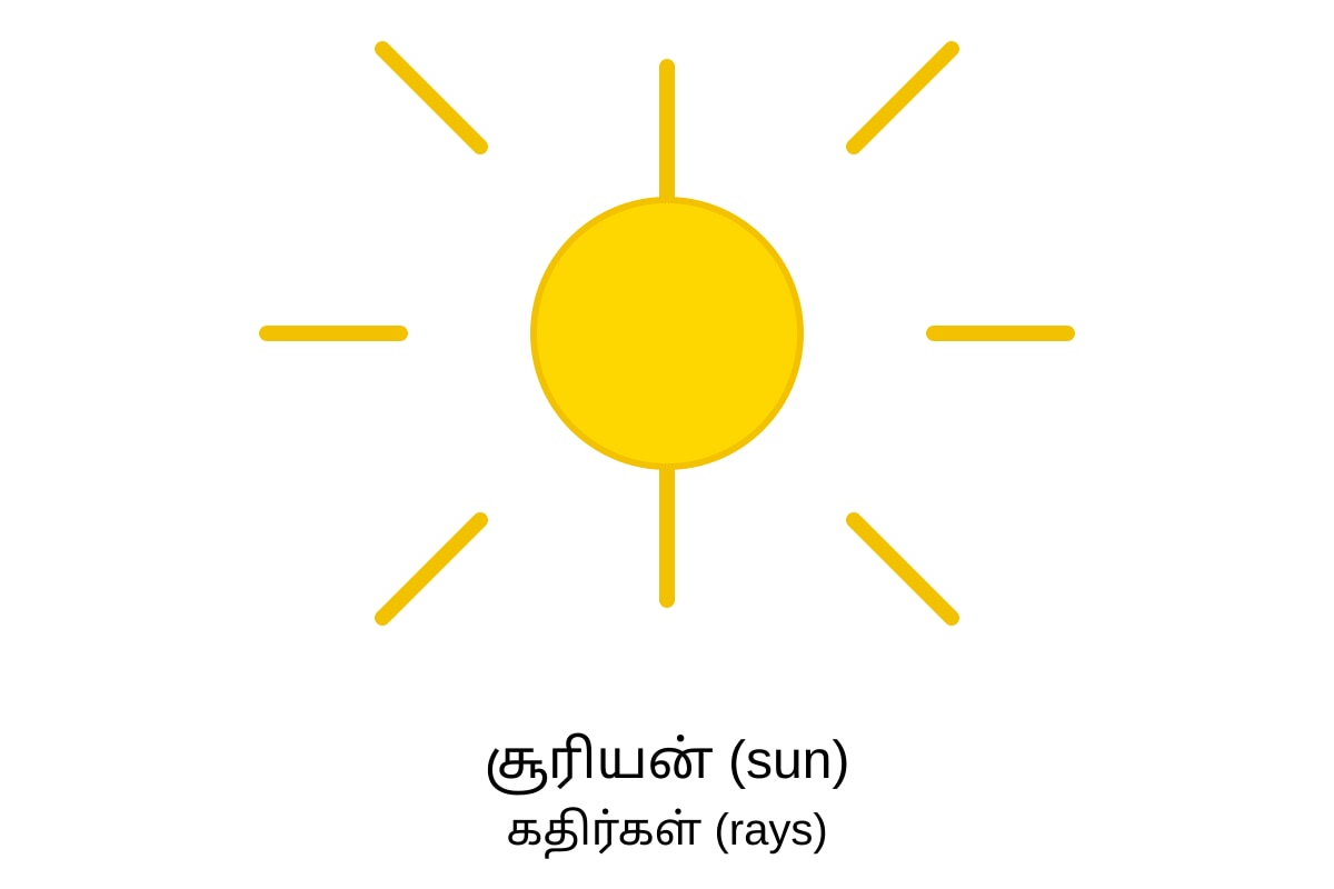Figure for Q18 (P1 Tamil)