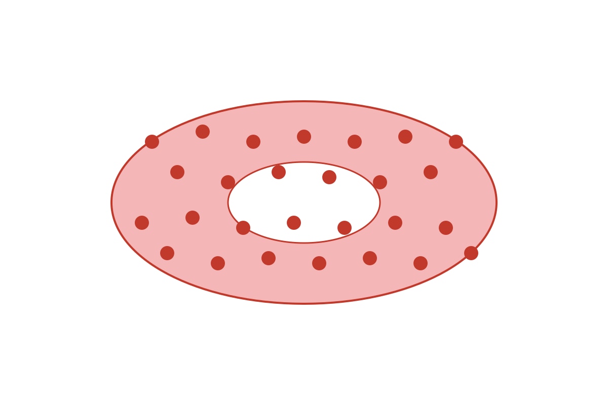 Diagram for Q19 (SEC4 Pure Biology)