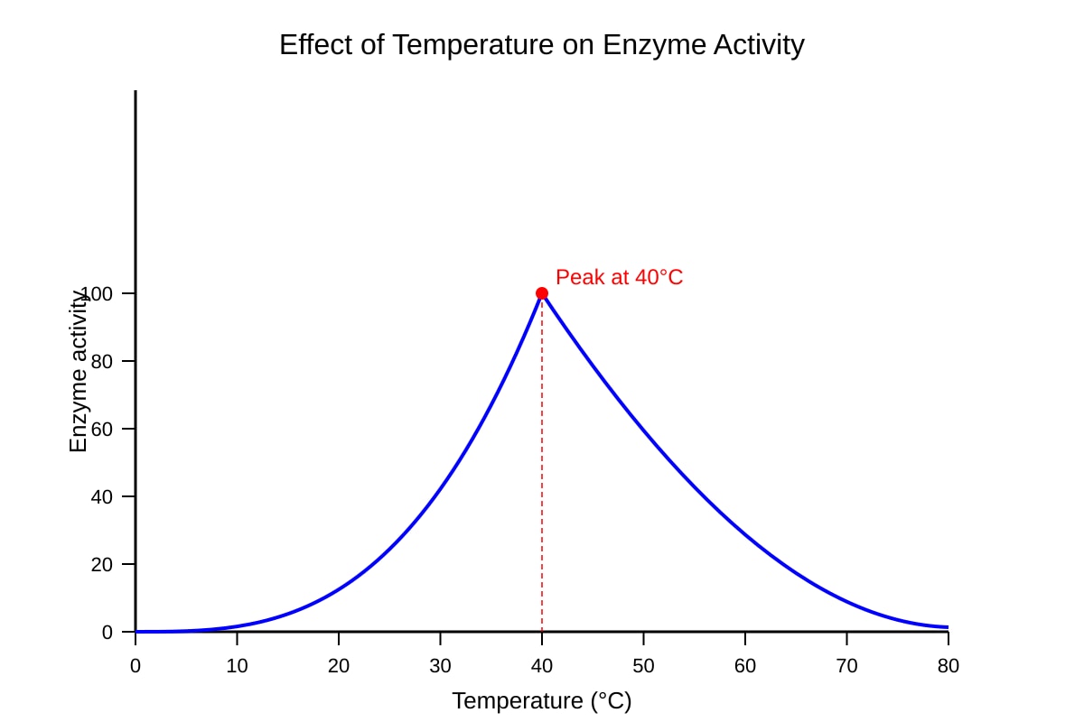 Graph for Q4 (SEC3 Biology)