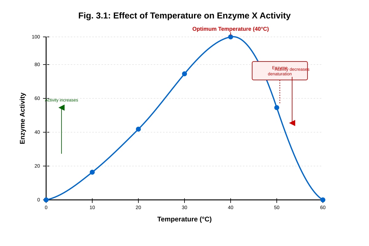 Graph for placeholder 3 (SEC4 Pure Biology)