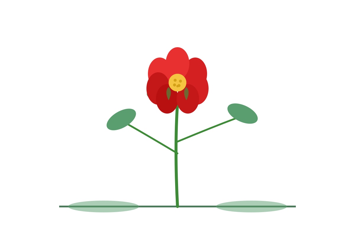 Picture for placeholder 6 (P1 Chinese)