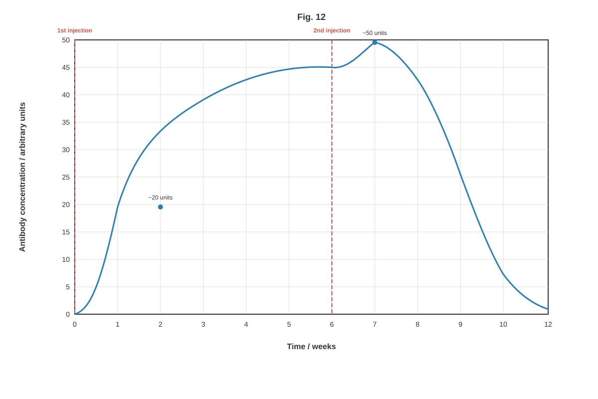 Graph for Q12 (ALEVEL Biology H1)
