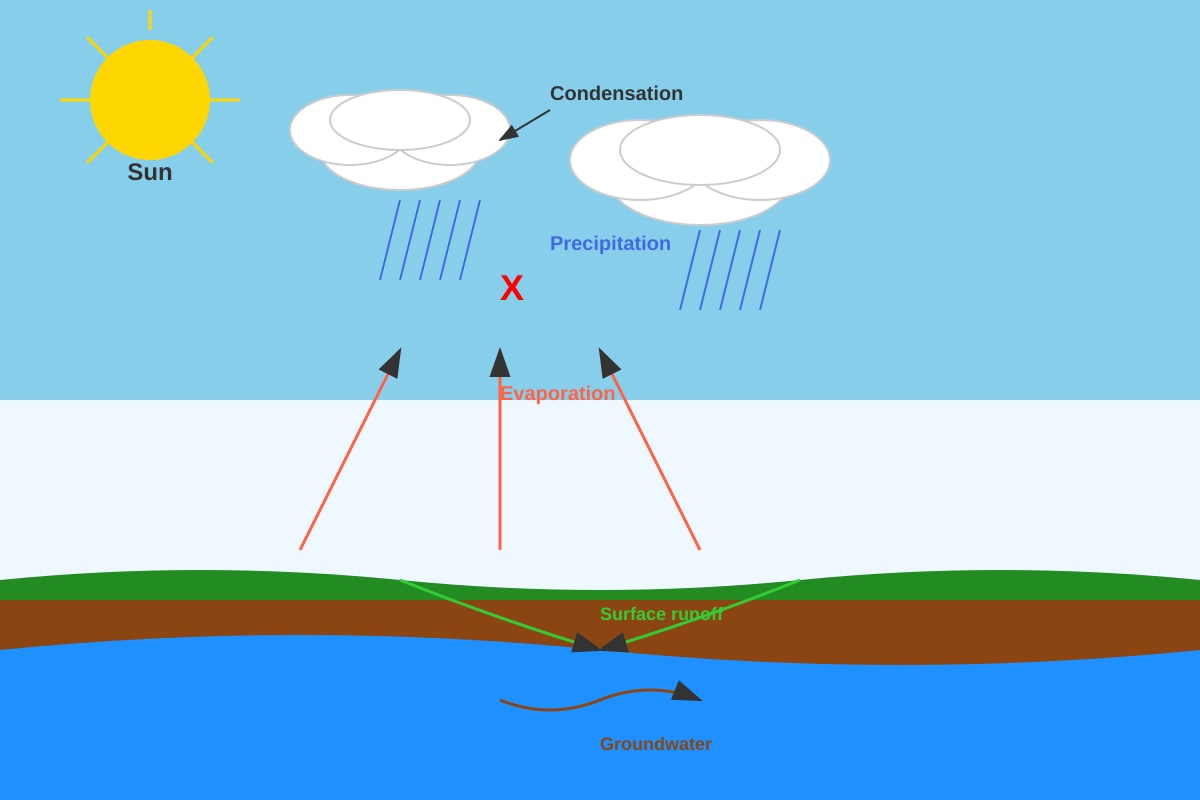 Diagram for Q12 (P5 Science)